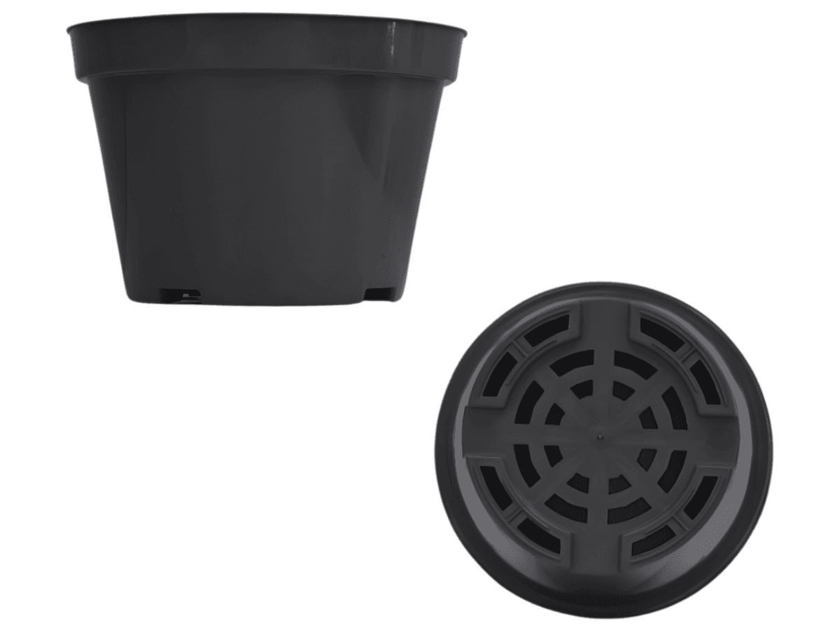 Oboya Pot 11