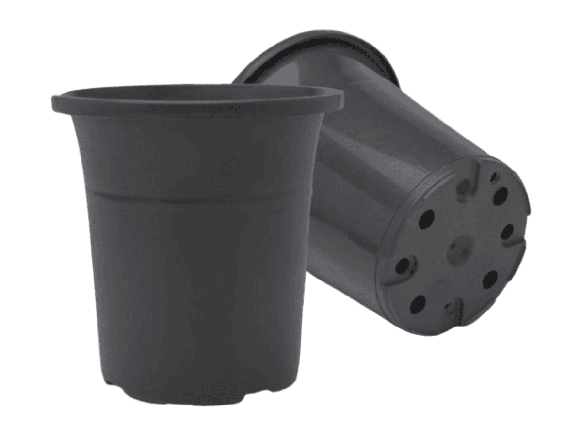 Maceta 13 Campana