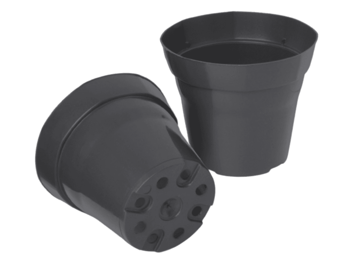 Maceta 15 Classic Octagonal