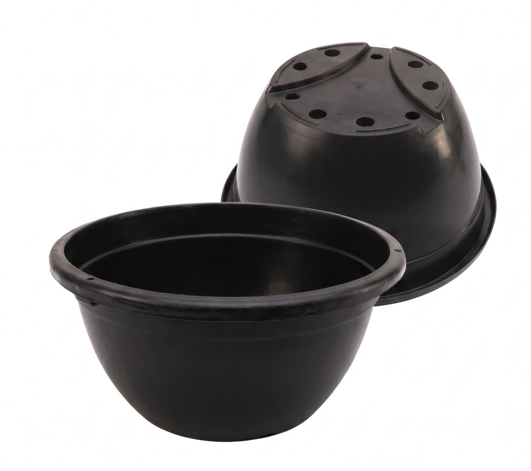 Bowl 21 Oboya